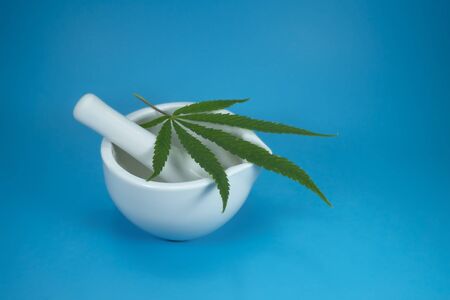 Green cannabis leaf on white ceramic mixing grinding bowl isolated on light blue backgroundの写真素材