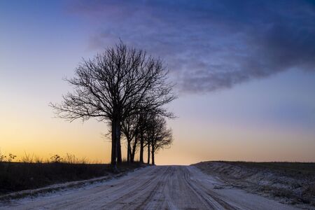 Trees silhouetted against an orange sky at twilight in a rural winter sunset with receding road with tracks and open fieldsの写真素材