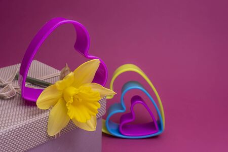 Romantic ValentinesDay still life with nested colorful heart shaped cookie cutters, a spring daffodil and decorative gift on pink with copy space for a message to your sweetheartの写真素材