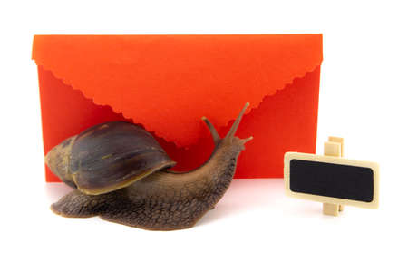 Terrestrial snail in front of a colorful red romantic envelope with frilled edges alongside a small slate or signboard with copy space in a Valentines day conceptの写真素材
