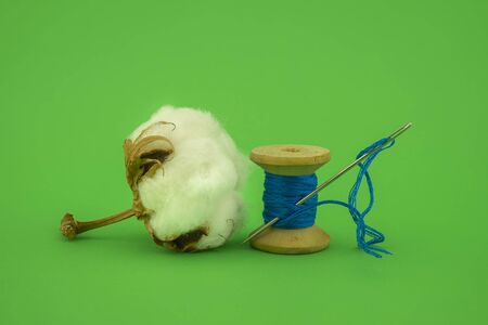 Cotton boll with natural cotton and reel of bright yarn over a green background with copy space, concept of production of natural resourcesの写真素材