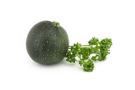 Green round courgette or zucchini and fresh parsley sprigs isolated on white backgroundの写真素材