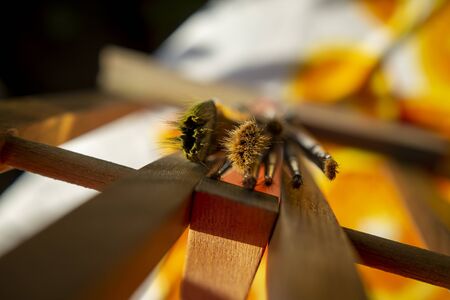 Artistic image with selective focus to the tips of assorted paint brushes resting on a wooden beam...