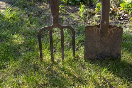 Garden forks and spade or shovel on a green lawn in a concept of spring gardeningの写真素材