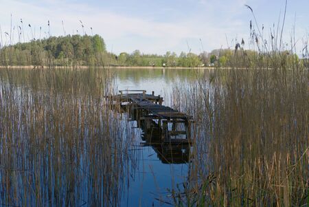 Old rickety wooden jetty on a lake viewed between reeds on the shoreline with reflections on the waterの写真素材