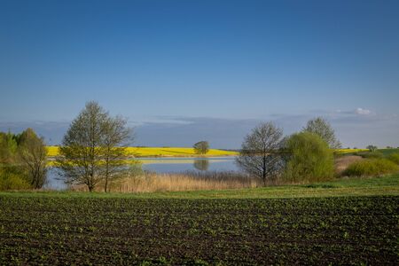 Spring agricultural landscape with colorful yellow rapeseed crop and lake with newly ploughed farm field in the foreground under a sunny blue skyの写真素材