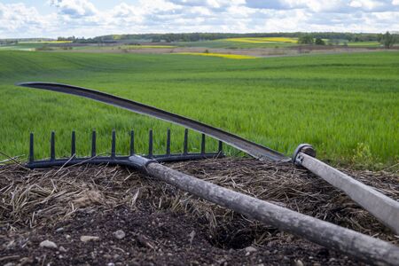 Rake and scythe on dried straw in an agricultural field in spring viewed in close up on the toolsの写真素材