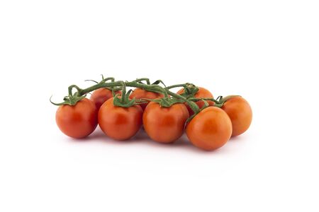 Fresh cherry tomato twig isolated on white backgroundの写真素材
