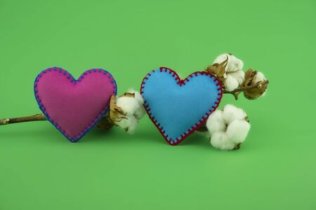 Cotton anniversary concept with hand sewn textile pink and blue hearts and natural cotton bolls with a branch over a green backgroundの写真素材