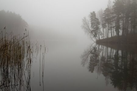 Reflections on a tranquil lake with autumn mist viewed past the branches of a tree in a serene atmospheric landscapeの写真素材