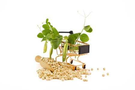 Dried peas spilling from a wooden scoop and fresh plant with pods in a small shopping cart isolated on a white backgroundの写真素材