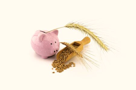 Pink piggy bank and fresh seeds spilling from a wooden scoop onto a white background with golden ears, conceptual grain price still lifeの写真素材