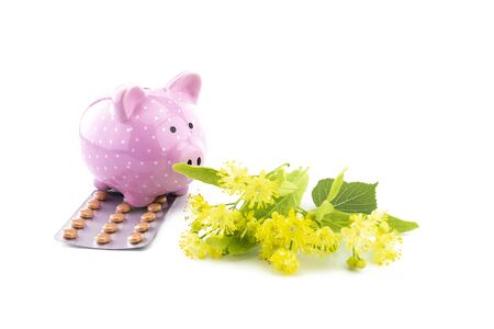 Conceptual of the cost of healthcare and medicine with ceramic piggy bank tablets and freshly picked yellow linden flowers over a white backgroundの写真素材