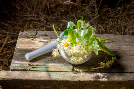 Pestle and mortar and bowl filled with fresh linden flowers and leaves for medicinal use on an old rustic workbench or table in shadowsの写真素材