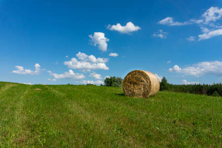 Freshly harvested circular hay bale in a field or pasture in summer in a low angle view under a cloudy blue sky in an agricultural landscapeの写真素材