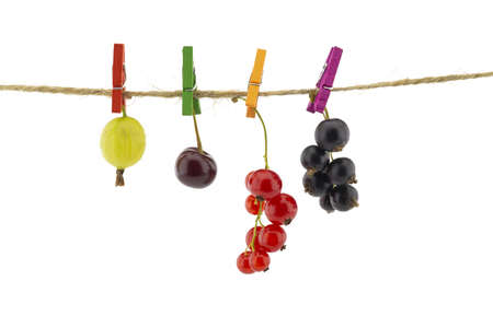 Fresh fruit hanging from clothes pegs on a rope with a gooseberry, red currants, cherry and black currants isolated on white with copyspaceの写真素材