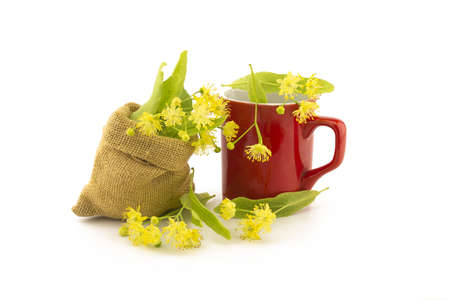 Red cup and small hessian bag of freshly picked yellow linden flowers and leaves, also called tilia and lime, for making a healing tisane or tea over a white backgroundの写真素材