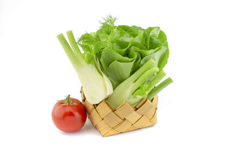 Fresh butter lettuce also known as Boston or Bibb lettuce in rustic woven basket, fennel and tomato over white backgroundの写真素材