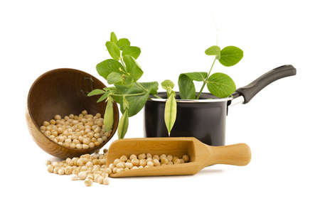 Dried chickpeas spilling from a bowl and wooden scoop with a fresh green plant and pods in a pot over whiteの写真素材