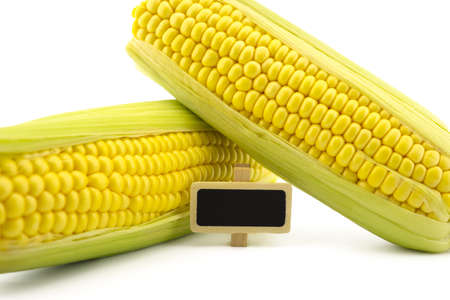 Fresh sweetcorn cobs and small signboard isolated on white backgroundの写真素材