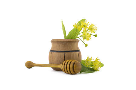 Small wooden pot of freshly picked yellow linden flowers and leaves, also called tilia and wooden wand over a white backgroundの写真素材
