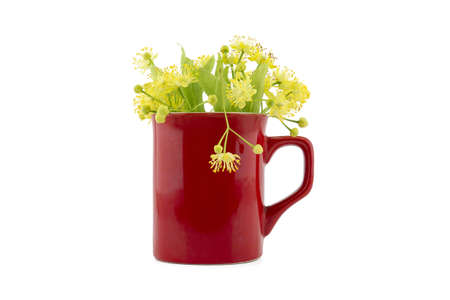Fresh Linden or Tilia flowers and leaves in a red cup on white background, alternative healing conceptの写真素材