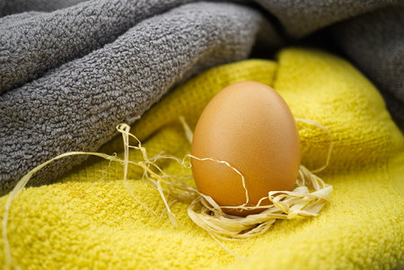 Fresh brown egg on two tone grey and yellow textile. Organic farming and color trends conceptの写真素材