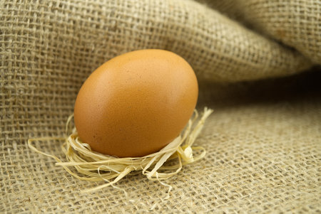 Fresh brown egg on burlap sack. Organic farming background with copy spaceの写真素材