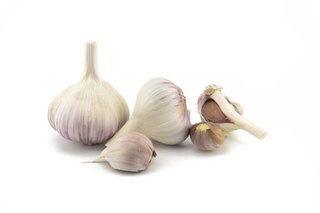 Garlic bulbs and cloves in close-up isolated on white backgroundの写真素材