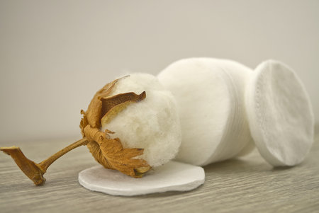 Stack of round embossed cotton pads and natural cotton stem boll. Organic cotton productsの写真素材