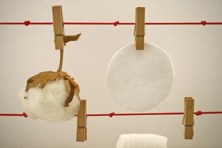 Round cotton pads and natural cotton boll hanging on laundry clips. Concept of reusable washable padsの写真素材