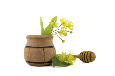 Small wooden pot of freshly picked yellow linden flowers and leaves, also called tilia and wooden wand over a white backgroundの写真素材