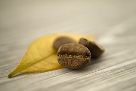 Roasted coffee beans and yellow leaf on wooden background. Macro photoの写真素材