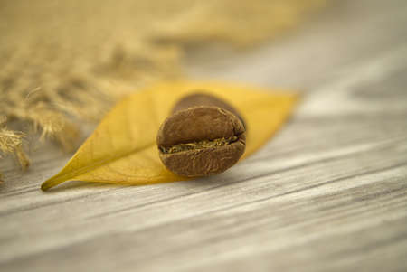 Macro photo of roasted coffee beans and yellow leaf on wooden backgroundの写真素材
