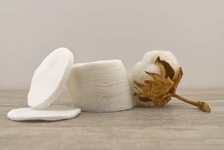 Natural cotton stem boll and stack of makeup remover facial cotton pads. Organic production conceptの写真素材