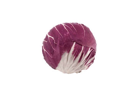 Radicchio red salad isolated on whiteの写真素材