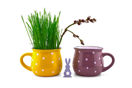 Wheat seedlings growing from yellow cup with pussy willow branch and Easter Rabbit figure isolated on white backgroundの写真素材