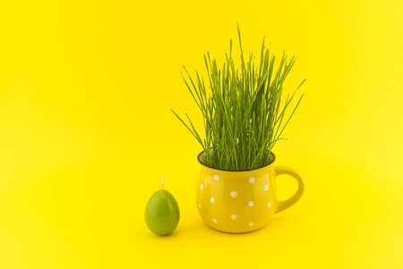 Wheat seedlings growing from yellow cup and green egg shaped candle isolated on yellow background with copy space for textの写真素材