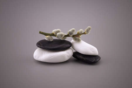 Stack of black and white stones and catkin twig, zen still life with calm shades of gray and copy space for textの写真素材