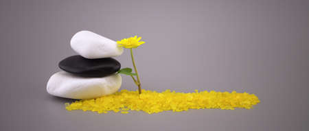 Zen still life with stacked stones, yellow spring flower and spa crystals or granules in a panorama design template on grey with copyspace and side vignetteの写真素材