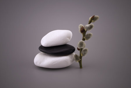 Stack of black and white stones and catkin twig, zen still life with calm shades of gray and copy space for textの写真素材