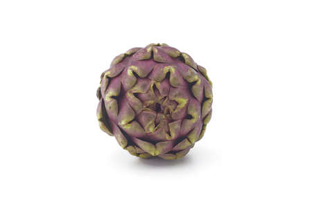 Fresh purple artichoke isolated on a white backgroundの写真素材