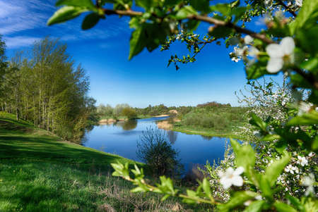 View past spring blossom on a tree of a meandering river with reflections in a lush green scenic spring landscape in a concept of the seasonsの写真素材