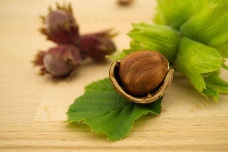 Fresh raw hazelnut nestling in a cracked open shell on green leaves in a selective focus view on a wooden table with copyspaceの写真素材