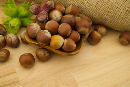 Fresh raw unshelled hazelnuts in front of the jute sack in a selective focus viewの写真素材