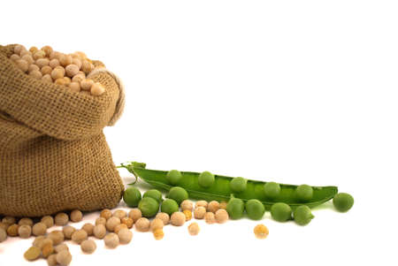 Dried whole peas spilling from a hessian bag near fresh harvest green pea pods, fresh or dried peas concept on white backgroundの写真素材