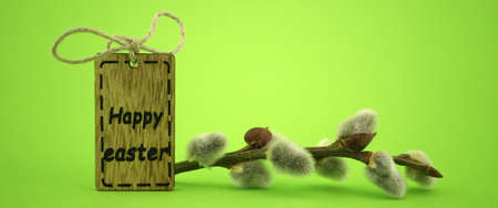 Minimalistic style Easter banner and wooden label with text "Happy Easter" on green background with free copy space for textの写真素材