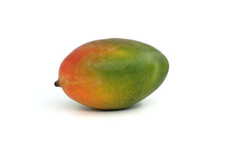 One ripe and nice colored mango fruit isolated on a white backgroundの写真素材