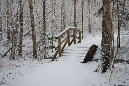 Winter landscape with snow covered rustic foot bridge and footpath in a forest in a concept of the seasonsの写真素材