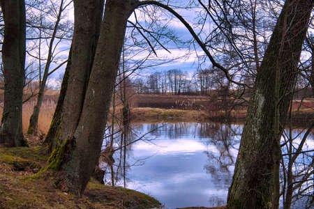 Tranquil lake with reflections of surrounding trees and clouds in evening light in winter conceptual of the seasonsの写真素材